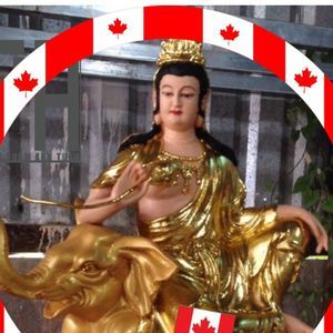 Meet your Posher, Sithay